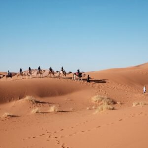 Sahara salt caravan