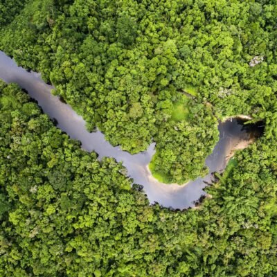 Amazon River Mina Guli