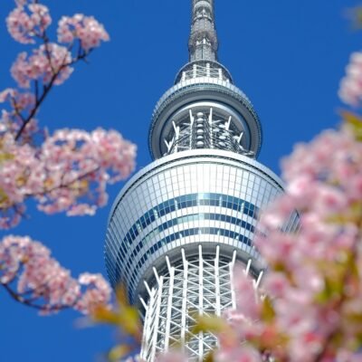 tokyo-marathon-japan-skytree